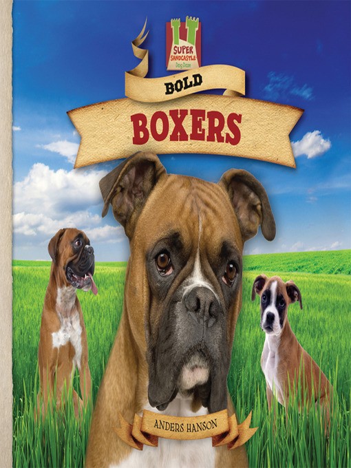 Title details for Bold Boxers by Anders Hanson - Available